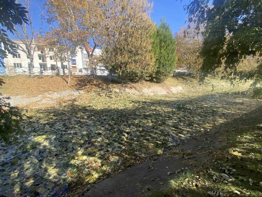 Sonbaharda Dökülen Yapraklar Porsuk Çayı Yüzeyini Kapladı