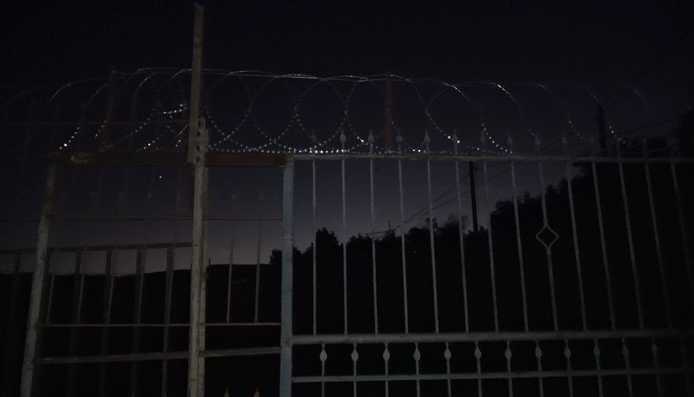 Alanya’da Avokadoya Dikenli Tel Ve Çoban Köpekli Koruma