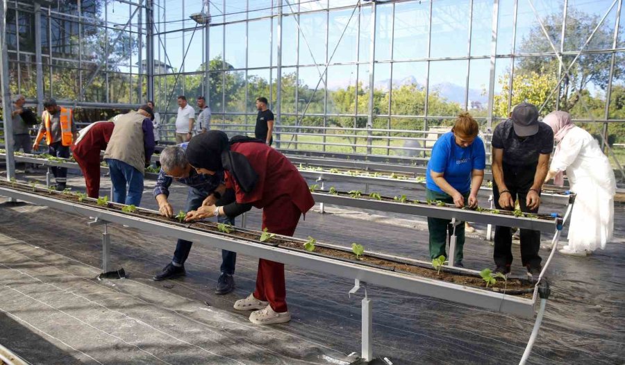 Alzheimer Hastaları Mavi Ev’de Moral Buluyor
