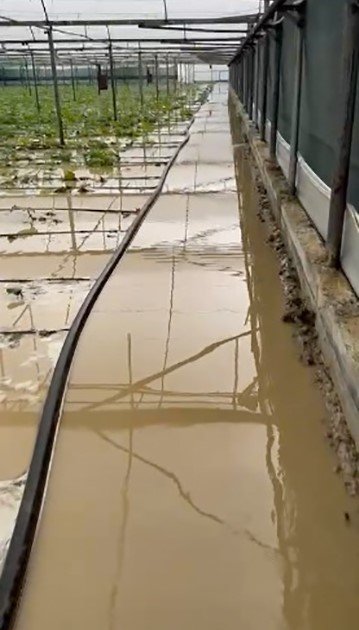 Antalya’da Sal Ve Dolu Seraları Vurdu