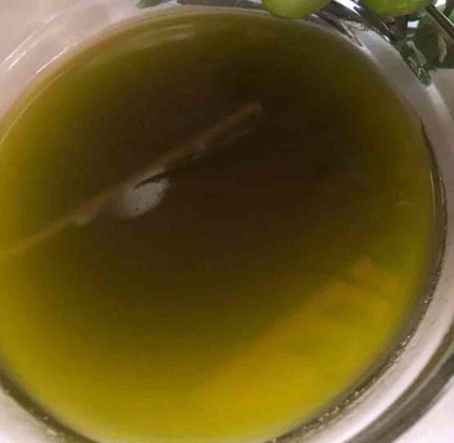 Zeytinde Verim Arttı, Yağın Fiyatı 160 Tl’ye Kadar Düştü