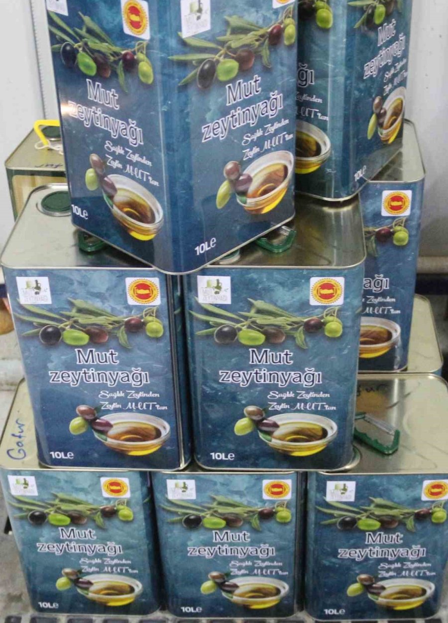 Zeytinde Verim Arttı, Yağın Fiyatı 160 Tl’ye Kadar Düştü