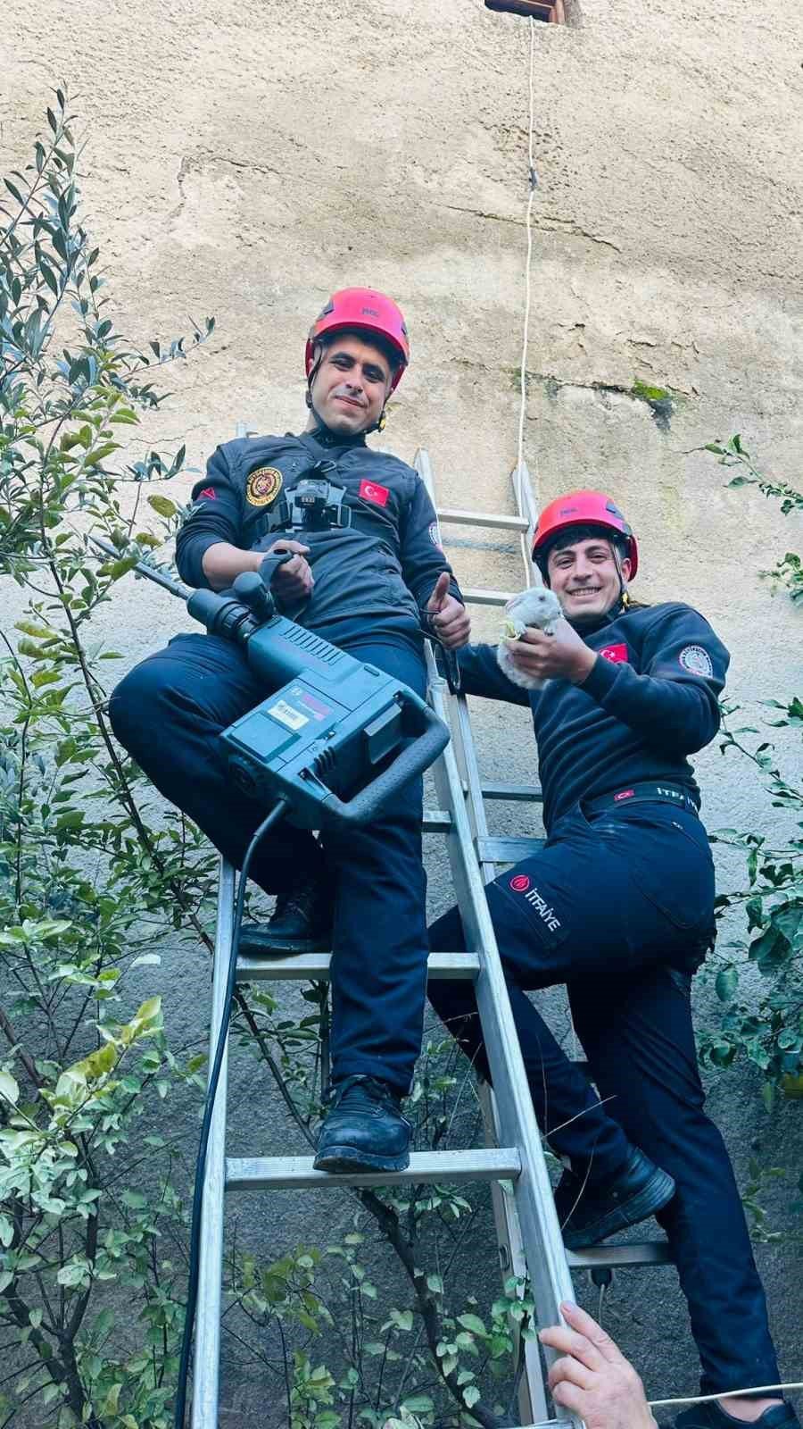 Tahliye Bacasına Düşen Tavşan Kurtarıldı