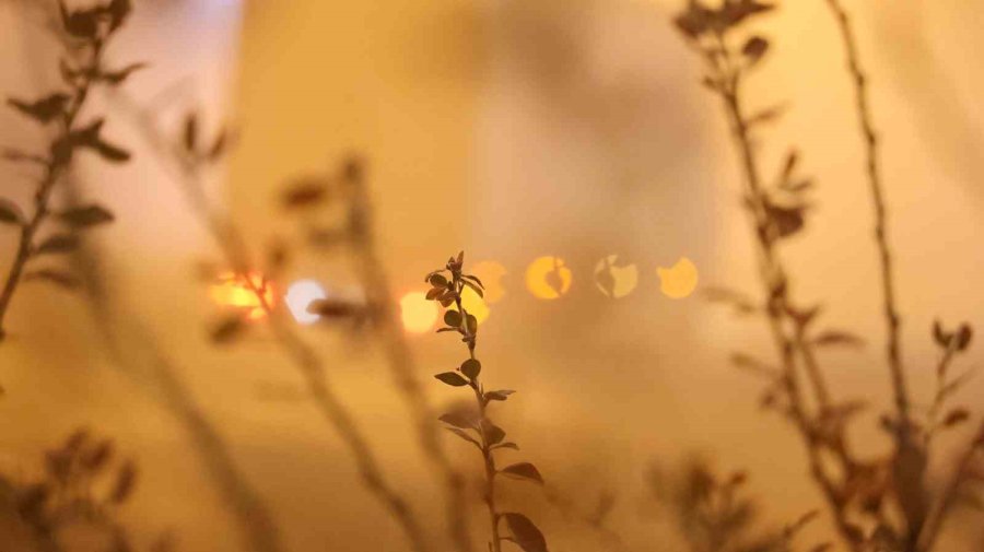 Aksaray’da Yoğun Sis: Görüş Mesafesi 10 Metreye Kadar Düştü