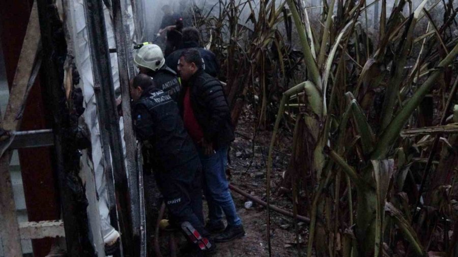 Alanya’da Mobilya Deposu Yandı, Alevler Muz Ve Çiçek Serasına Sıçradı