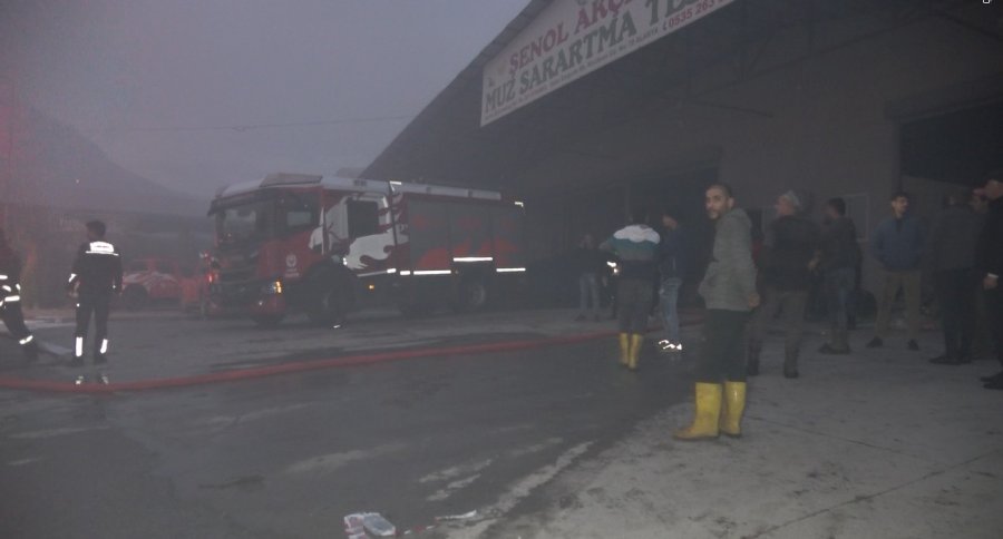 Alanya’da Mobilya Deposu Yandı, Alevler Muz Ve Çiçek Serasına Sıçradı