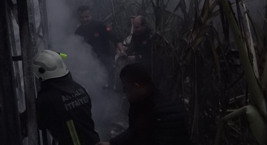 Alanya’da Mobilya Deposu Yandı, Alevler Muz Ve Çiçek Serasına Sıçradı