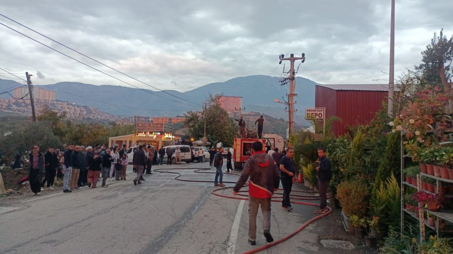 Alanya’da Mobilya Deposu Yandı, Alevler Muz Ve Çiçek Serasına Sıçradı