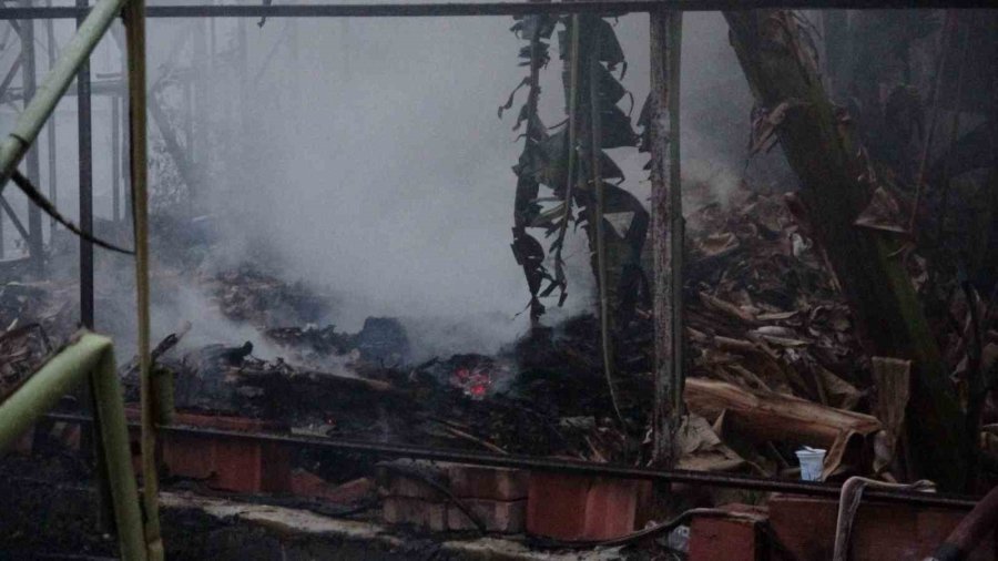 Alanya’da Mobilya Deposu Yandı, Alevler Muz Ve Çiçek Serasına Sıçradı