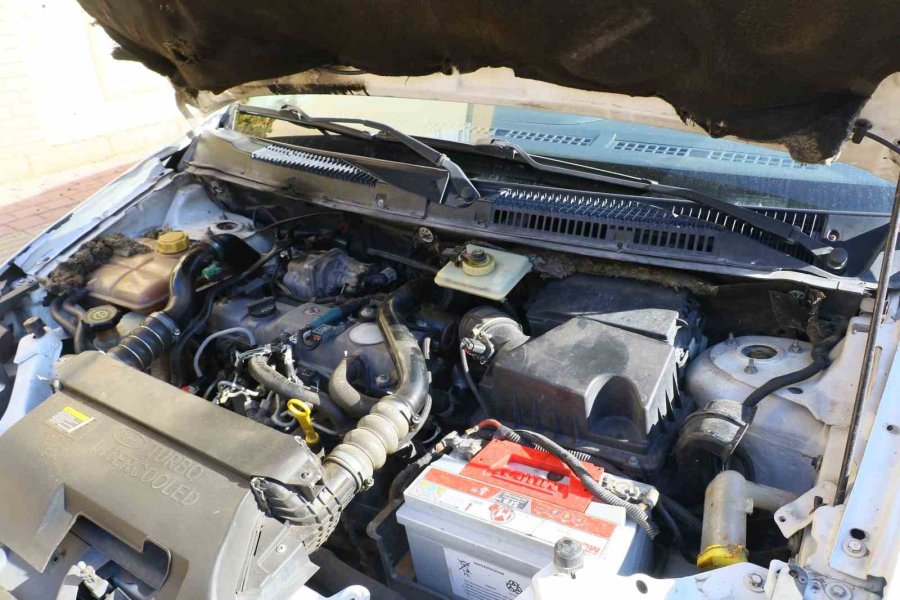 Aracın Motoruna Giren Fareyi Konuşarak İkna Etmeye Çalıştı