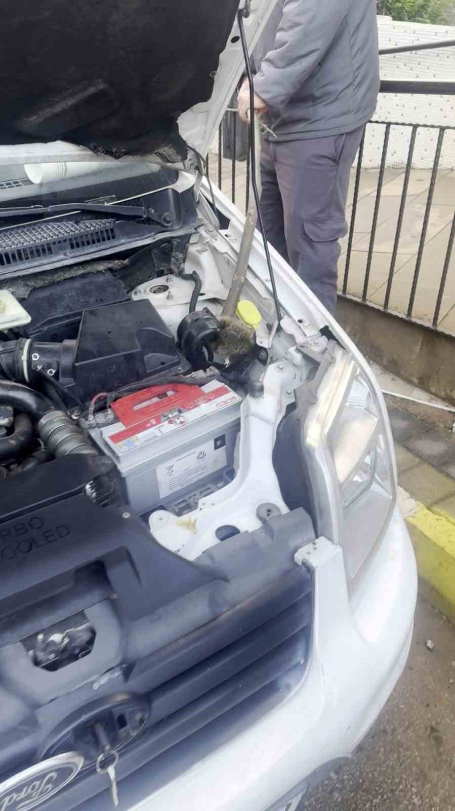 Aracın Motoruna Giren Fareyi Konuşarak İkna Etmeye Çalıştı