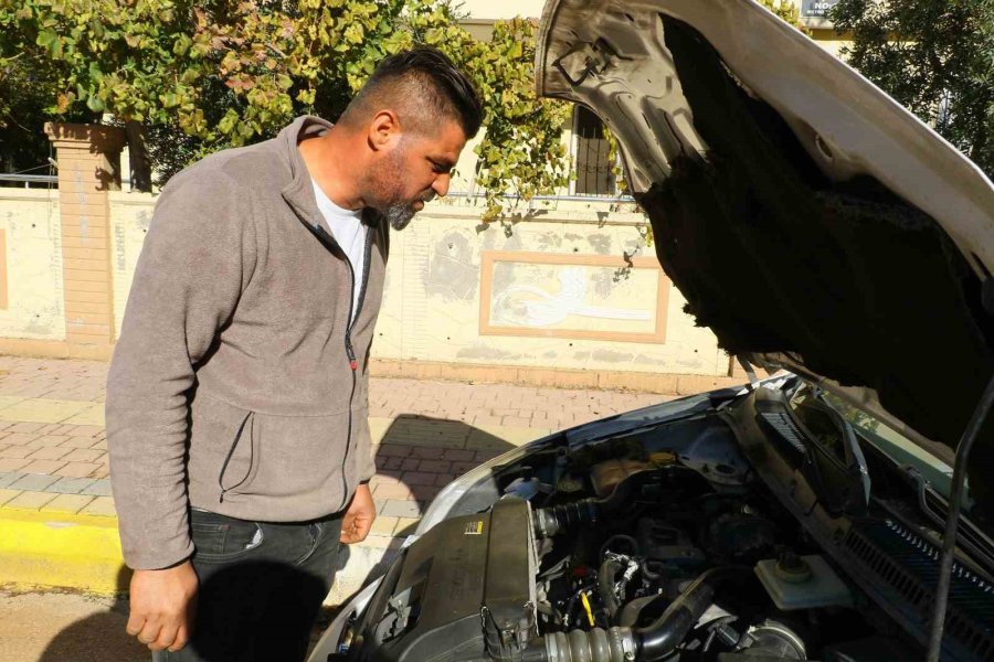 Aracın Motoruna Giren Fareyi Konuşarak İkna Etmeye Çalıştı