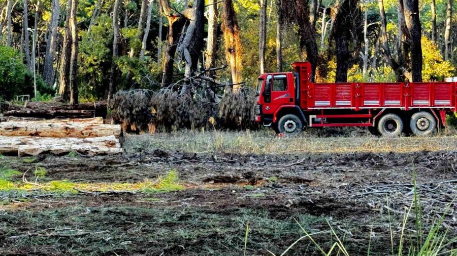 Sorgun Çamlığı’nda Yanan Ağaçlar Kesildi