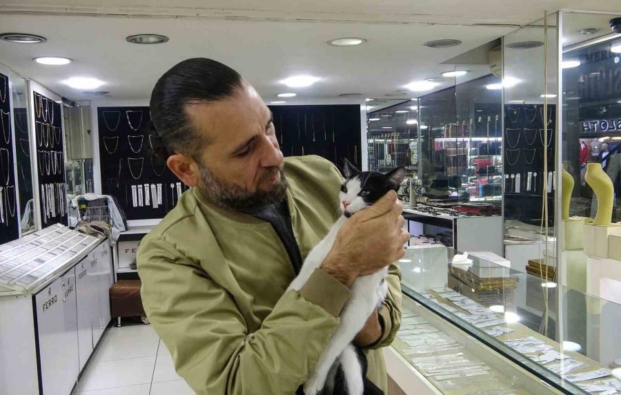 Vitrini Takıların Yanı Sıra Kediler De Süslüyor