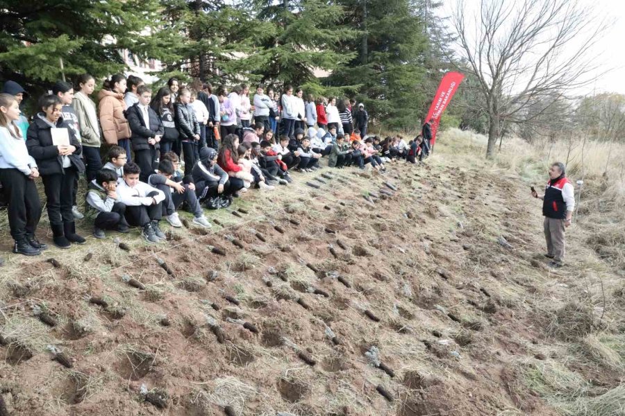 Okul Arazisine Lavanta, Biberiye, Kekik Ve Adaçayı Fidanları Diktiler