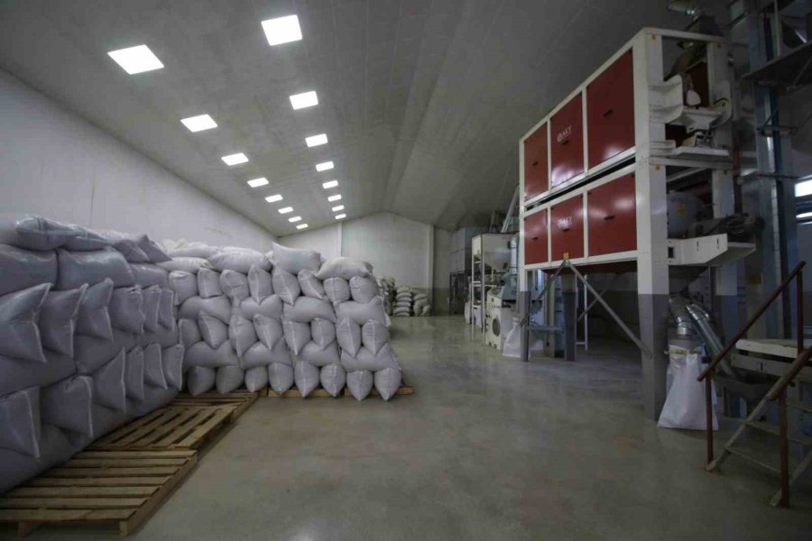 Göller Bölgesinin Sarı Gelini ’tefenni Rezenesi’ne Baka Desteği