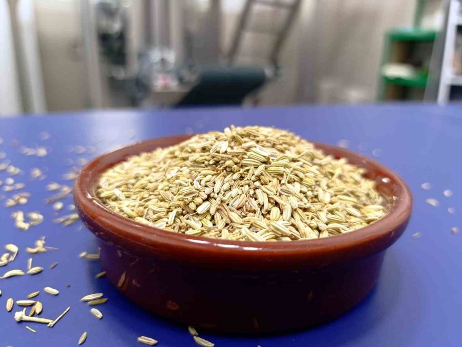 Göller Bölgesinin Sarı Gelini ’tefenni Rezenesi’ne Baka Desteği