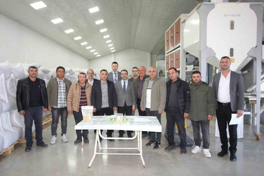 Göller Bölgesinin Sarı Gelini ’tefenni Rezenesi’ne Baka Desteği