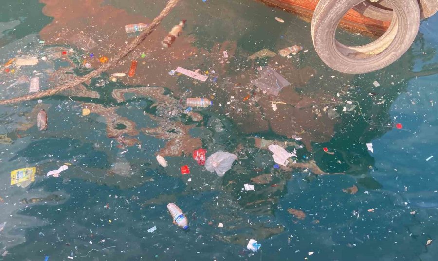 Akdeniz’de Oksijen Seviyesini Düşüren Kirlilik: Mersin Ve İskenderun Körfezleri Öne Çıkıyor