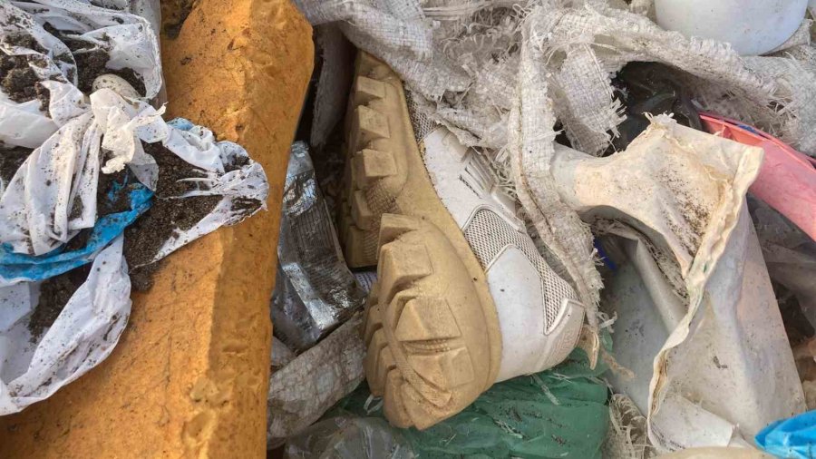 Akdeniz’de Oksijen Seviyesini Düşüren Kirlilik: Mersin Ve İskenderun Körfezleri Öne Çıkıyor