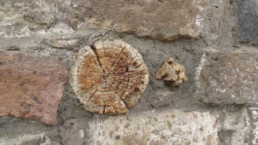 Tarihi Kayseri Kalesi’ndeki Ağaçlar Araştırılıyor