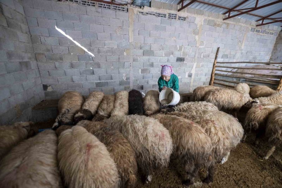 ’hadi Gel Köyümüze Geri Dönelim’ Projesi Bir Genci Deha Üretime Kazandırdı