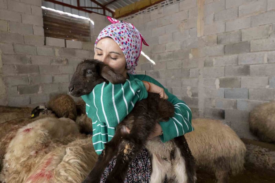 ’hadi Gel Köyümüze Geri Dönelim’ Projesi Bir Genci Deha Üretime Kazandırdı