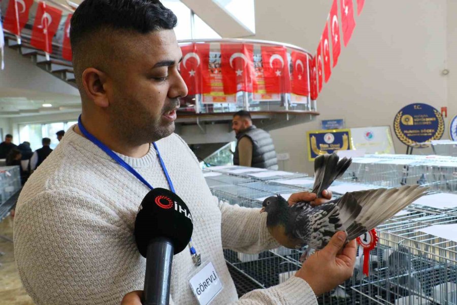 Milyonluk Güvercinler Antalya’daki Festivalde Buluştu