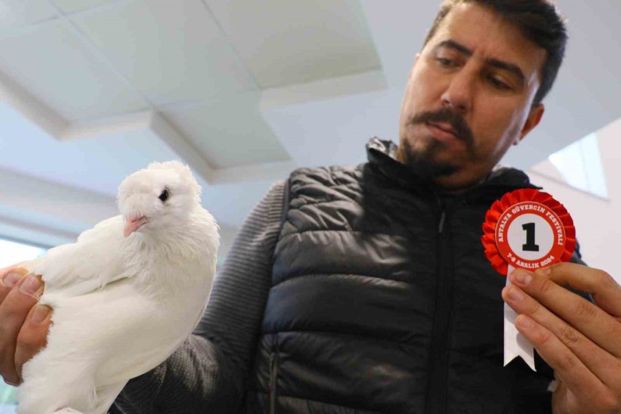 Milyonluk Güvercinler Antalya’daki Festivalde Buluştu