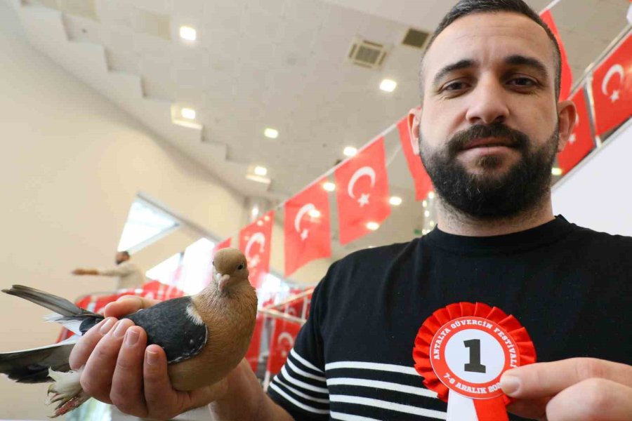 Milyonluk Güvercinler Antalya’daki Festivalde Buluştu