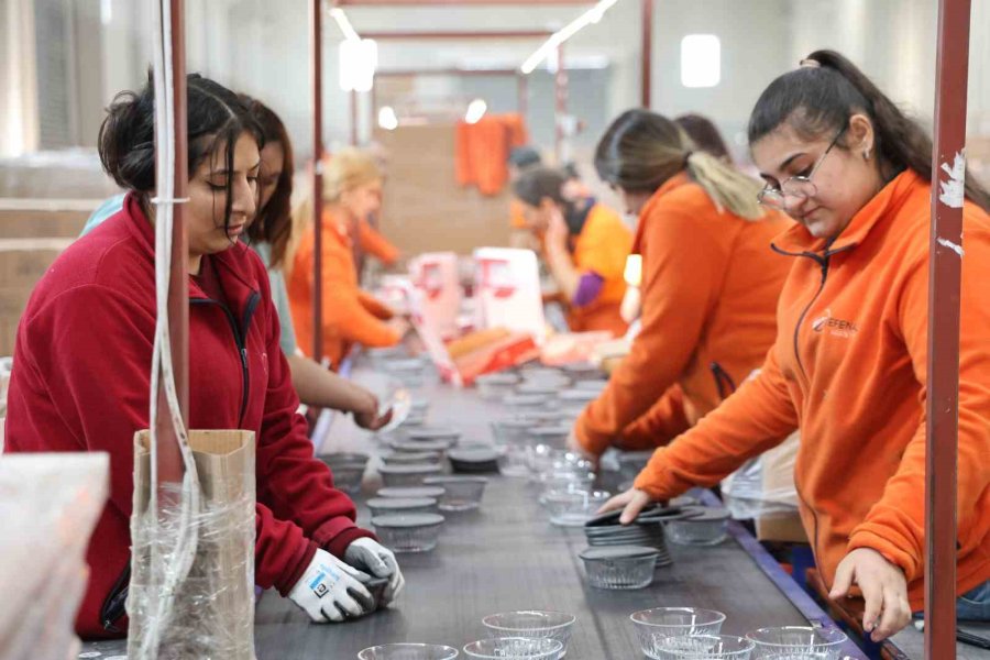 Eşinin 1 Adet Bileziğini Bozdurarak Kurduğu Firmasında Şimdi 750 Kişiye İstihdam Sağlıyor