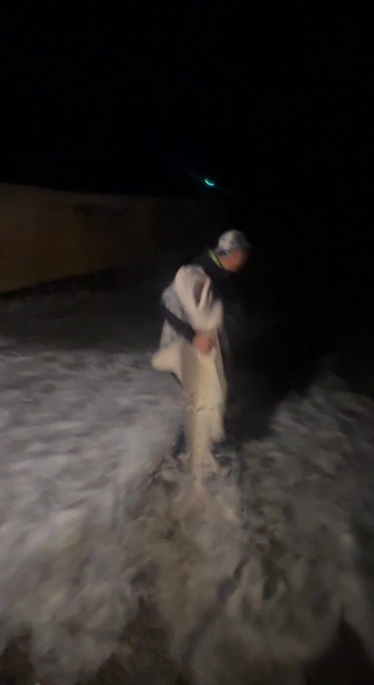 Tuttuğu Boyu Kadar Köpek Balığını Sahilde Kucaklayıp Denize Bıraktı