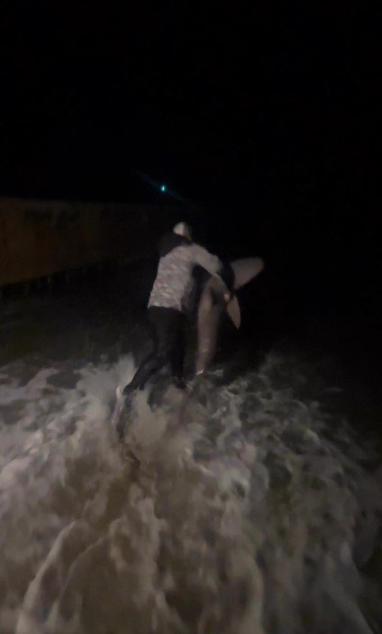 Tuttuğu Boyu Kadar Köpek Balığını Sahilde Kucaklayıp Denize Bıraktı