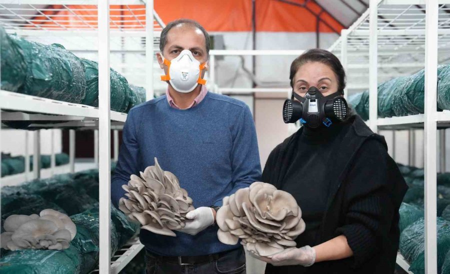 Mantar Yetiştiriciliği Kursu İle Hem Kazanıyor, Hem Kazandırıyor