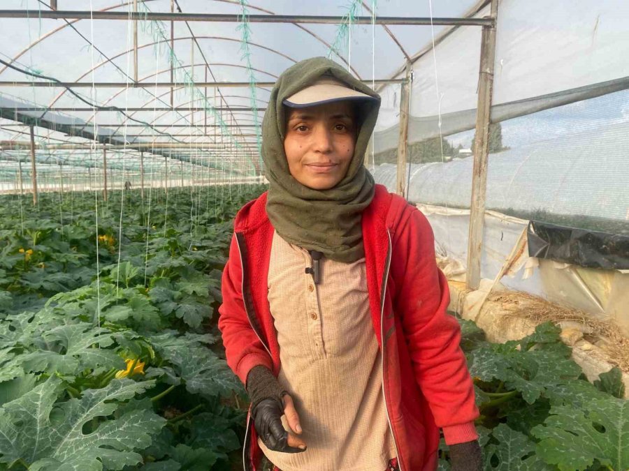 Suriye’den Kaçıp Türkiye’de Evlenen Çift: “esad’ın Yaptığını Bize Gavur Yapmadı”