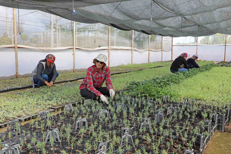 Başkan Böcek: “2025 Yılında Da Çiftçinin Yanında Olmayı Sürdüreceğiz”