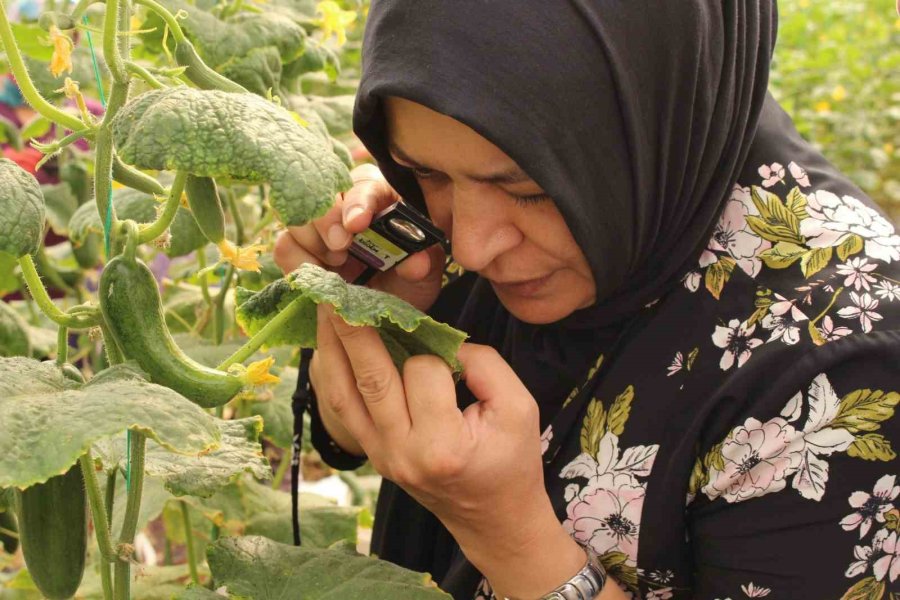 Başkan Böcek: “2025 Yılında Da Çiftçinin Yanında Olmayı Sürdüreceğiz”