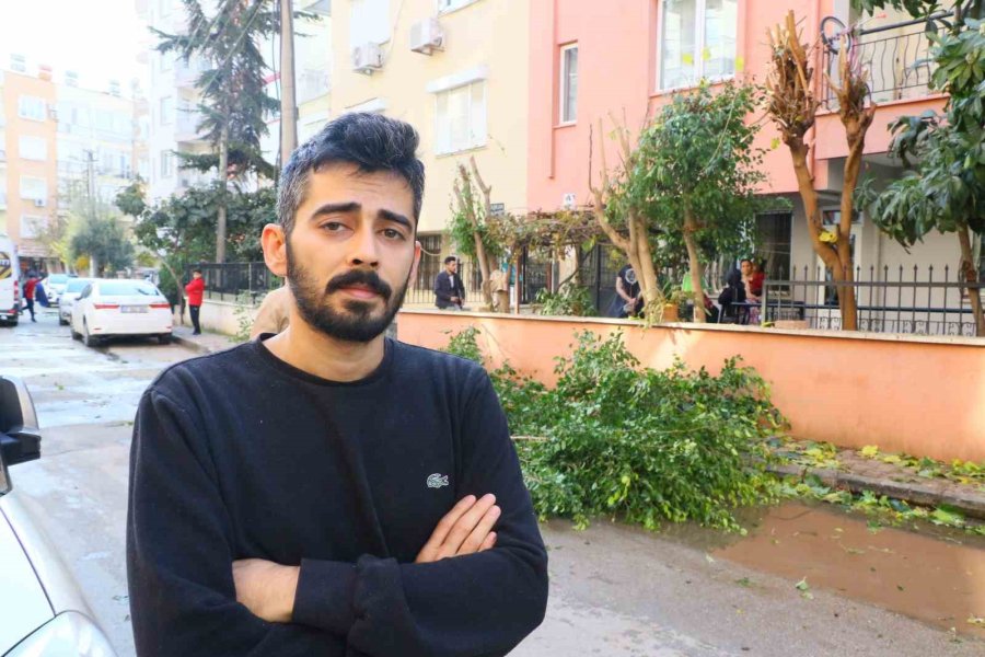 Ağaç Budarken Bütün Mahallenin Elektriğini Kesti, Elektronik Cihazlarını Yaktı