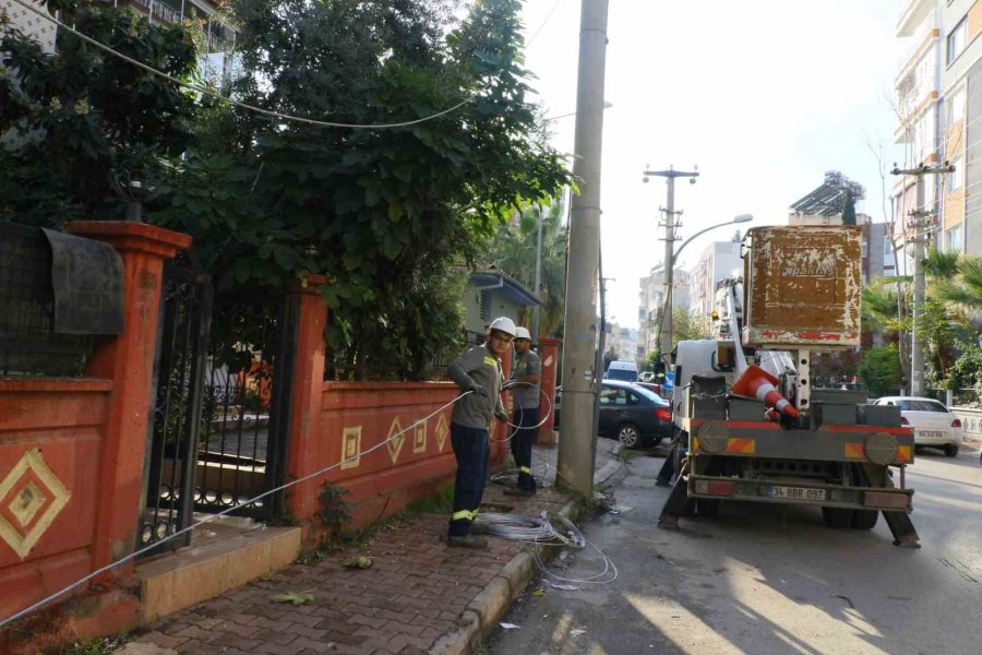 Ağaç Budarken Bütün Mahallenin Elektriğini Kesti, Elektronik Cihazlarını Yaktı