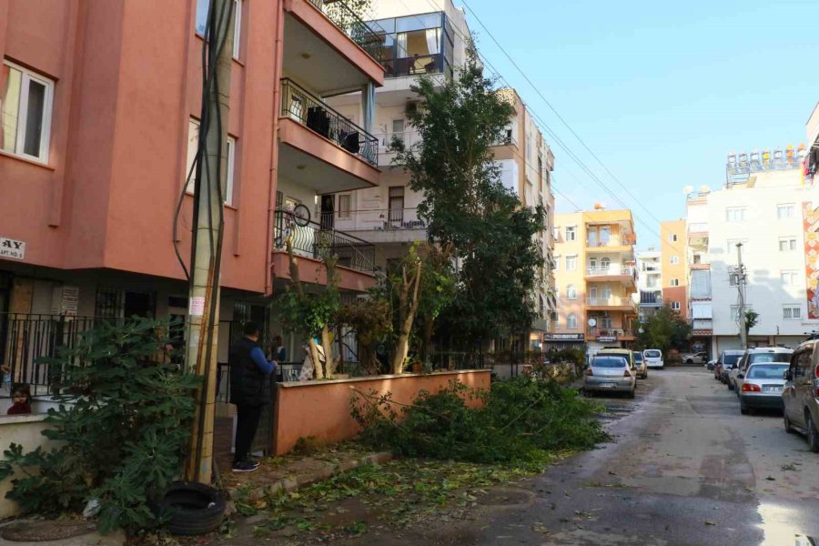 Ağaç Budarken Bütün Mahallenin Elektriğini Kesti, Elektronik Cihazlarını Yaktı