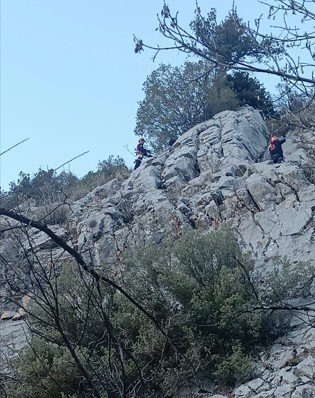 Kayalıklarda Mahsur Kalan 2 Köpek Kurtarıldı