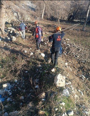 Kayalıklarda Mahsur Kalan 2 Köpek Kurtarıldı