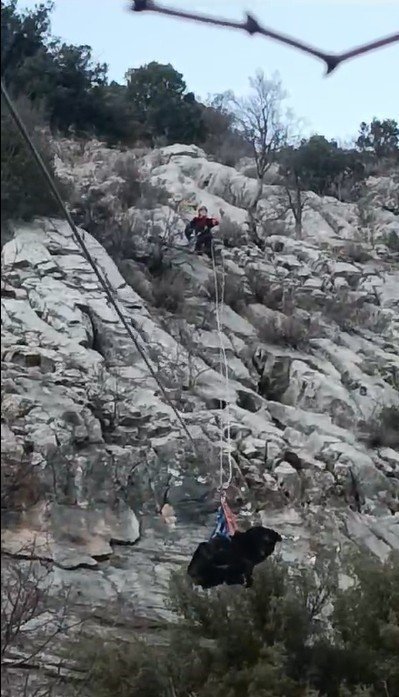 Kayalıklarda Mahsur Kalan 2 Köpek Kurtarıldı