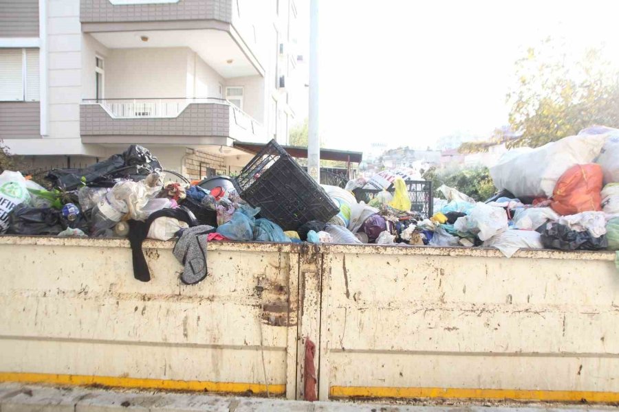 Yaşlı Kadının Evinden 2 Kamyon Dolusu Çöp Çıktı