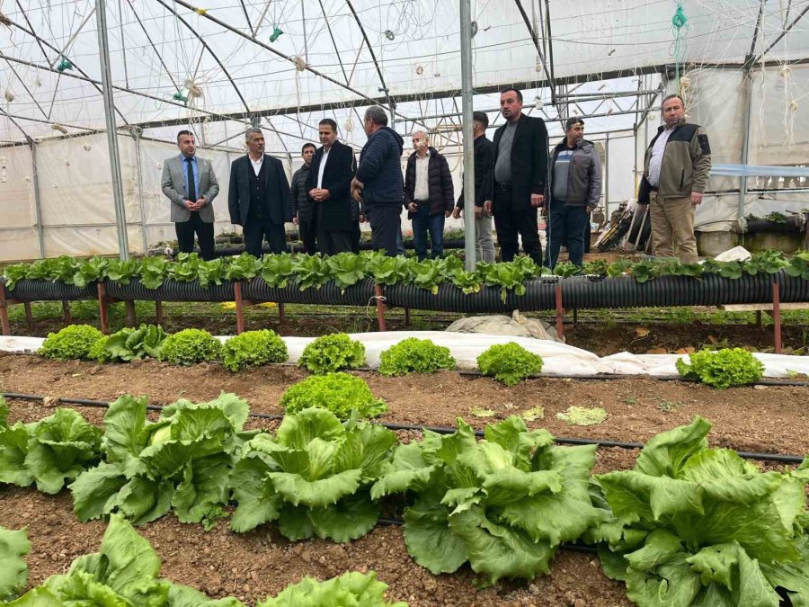 Beyşehir’de Yaz Seraları Üreticilerle Buluşturuldu