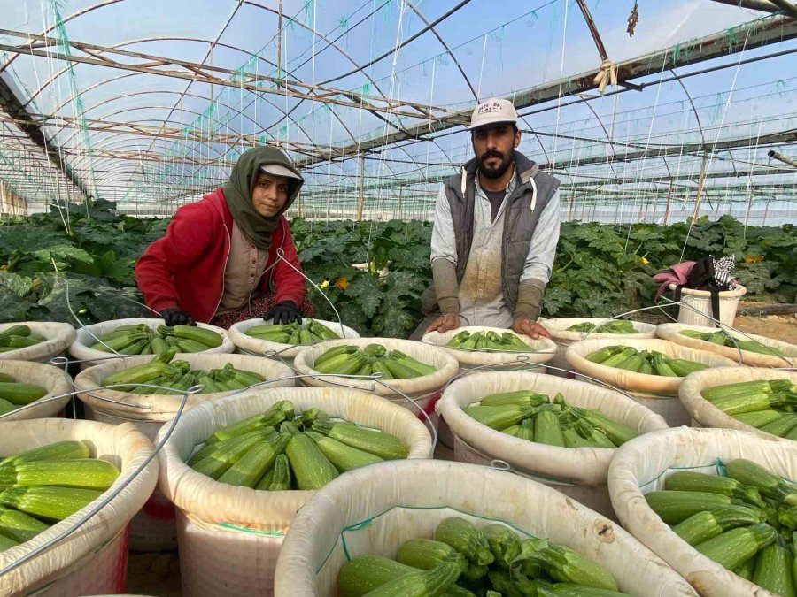 Suriye’den Kaçıp Türkiye’de Evlenen Çift: “esad’ın Yaptığını Bize Gavur Yapmadı”