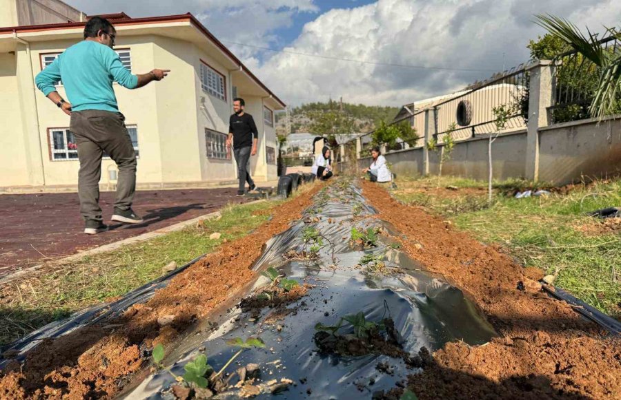 Mersin’de ’hayalimdeki Bahçe’ Etkinliği Düzenlendi