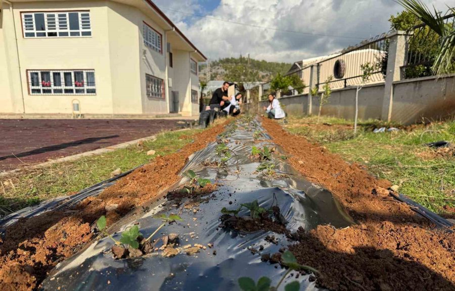 Mersin’de ’hayalimdeki Bahçe’ Etkinliği Düzenlendi