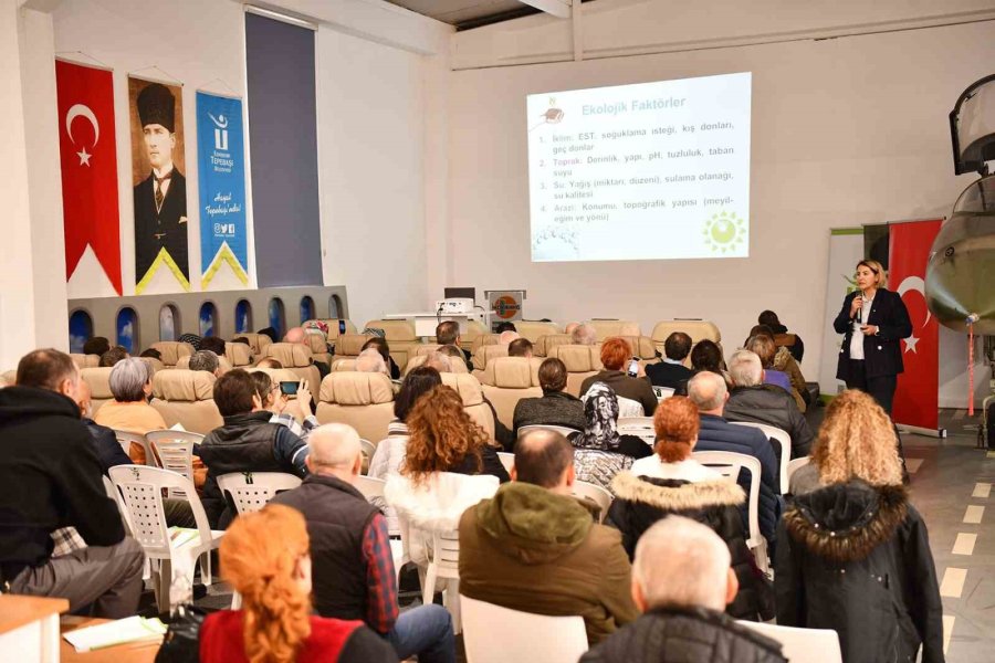 Üreticiler İçin Meyve Bahçesi Tesisi Ve Budama Eğitimi Düzenlendi