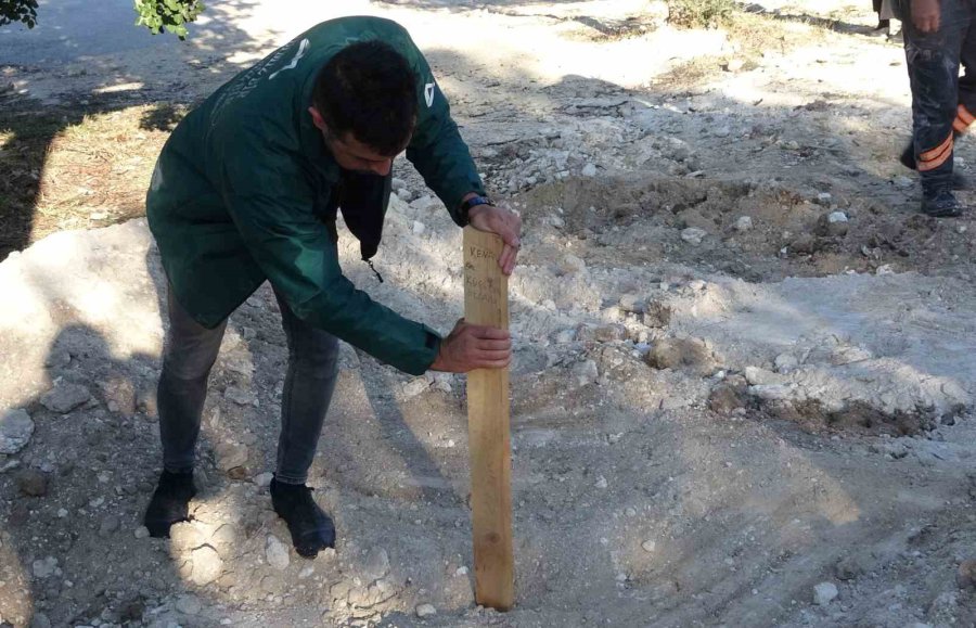 Çilli Bom’u İlk Çıkaran Bestekar Hayatını Kaybetti: 5 Kişi İle Kimsesizler Mezarlığına Defin Edildi